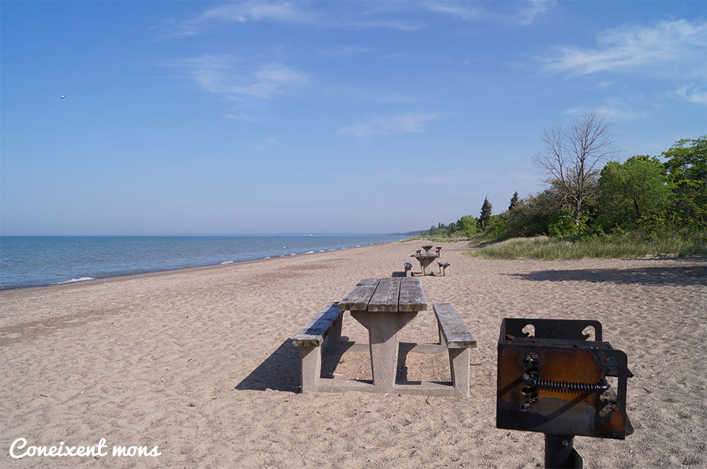 Point Pelee National Park - Ontario